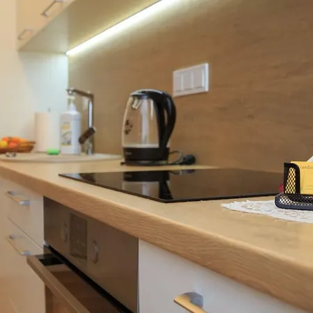 Vip - Zalgirio 96 Apartment
